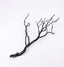 VGnewtrend. Black Manzanita Sandblasted Branch. Large Size