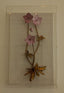 Tommy Mitchell. Border Garden Study Wall Art with Pink Flowers