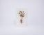 Tommy Mitchell. Border Garden Study Wall Art with White Flowers